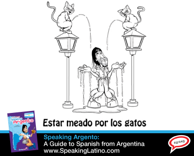 ESTAR MEADO POR LOS GATOS: Spanish Slang Expressions With The Word CAT