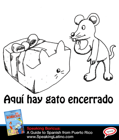 AQUI HAY GATO ENCERRADO: Spanish Slang Expressions With The Word CAT
