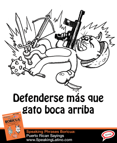 DEFENDERSE MAS QUE GATO BOCA ARRIBA: Spanish Slang Expressions With The Word CAT