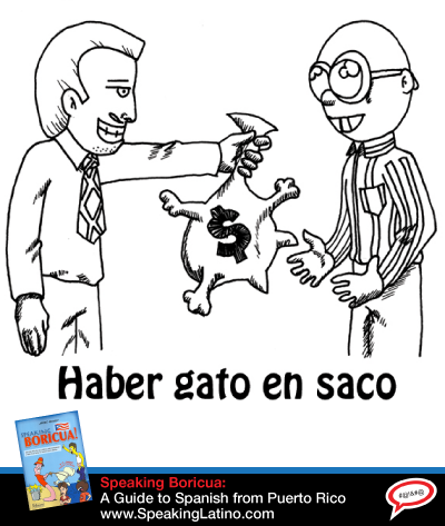 HABER GATO EN SACO: Spanish Slang Expressions With The Word CAT