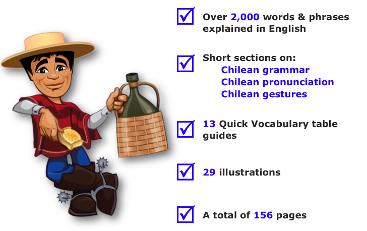 Speaking Chileno Chilean Spanish Dictonary EBook