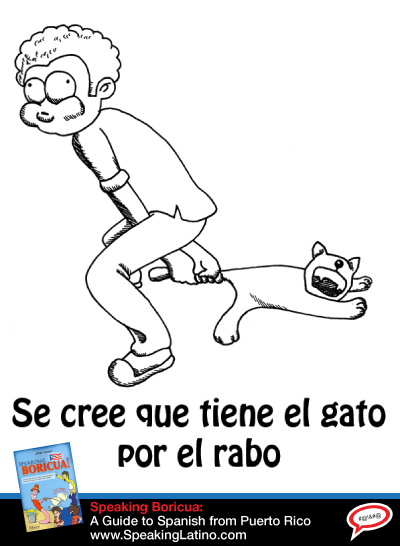 TIENE EL GATO POR EL RABO: Spanish Slang Expressions With The Word CAT