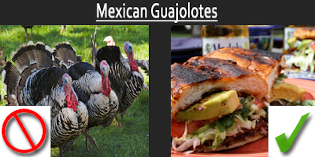 Guajolotes Guide to Mexican Street Food