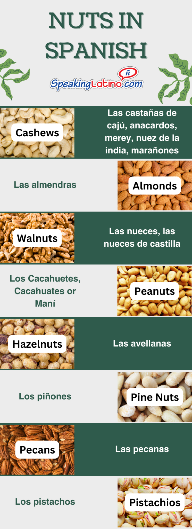 The Definitive Guide to NUTS in Spanish