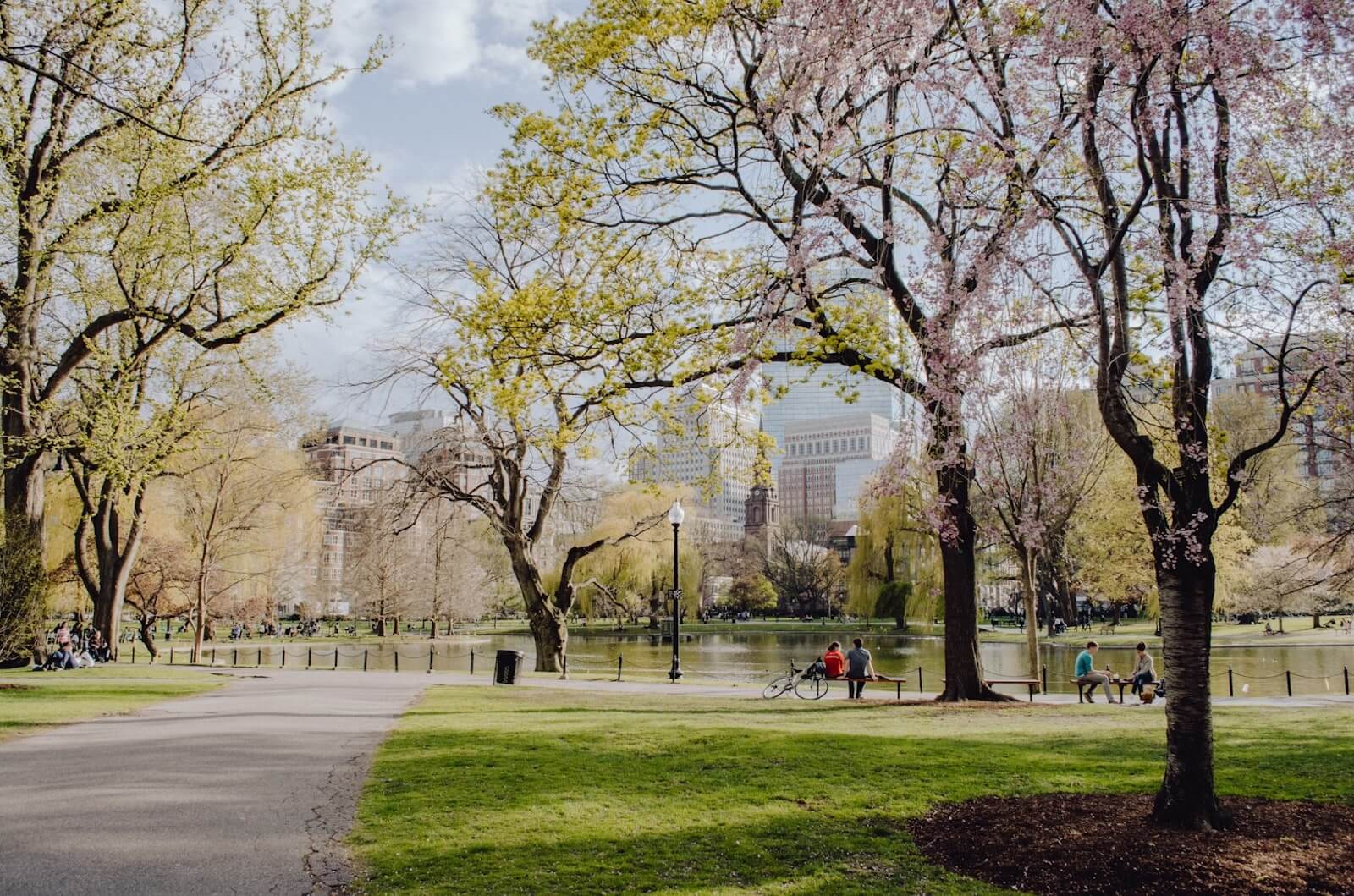 A park during daytime